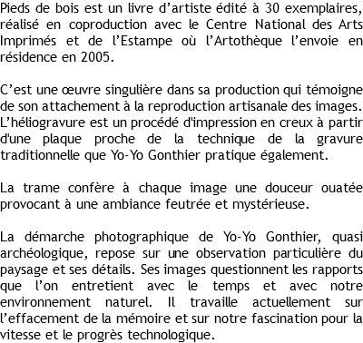 Pieds de bois est un livre d’artiste édité à 30 exemplaires, réalisé en coproduction avec le Centre National des Arts Imprimés et de l’Estampe où l’Artothèque l’envoie en résidence en 2005. C’est une œuvre singulière dans sa production qui témoigne de son attachement à la reproduction artisanale des images. L’héliogravure est un procédé d'impression en creux à partir d'une plaque proche de la technique de la gravure traditionnelle que Yo-Yo Gonthier pratique également. La trame confère à chaque image une douceur ouatée provocant à une ambiance feutrée et mystérieuse. La démarche photographique de Yo-Yo Gonthier, quasi archéologique, repose sur une observation particulière du paysage et ses détails. Ses images questionnent les rapports que l’on entretient avec le temps et avec notre environnement naturel. Il travaille actuellement sur l’effacement de la mémoire et sur notre fascination pour la vitesse et le progrès technologique.
